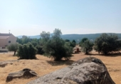 Sòl urbà en venda a la España, San Martín de Valdeiglesias, ref.: TR317969 foto