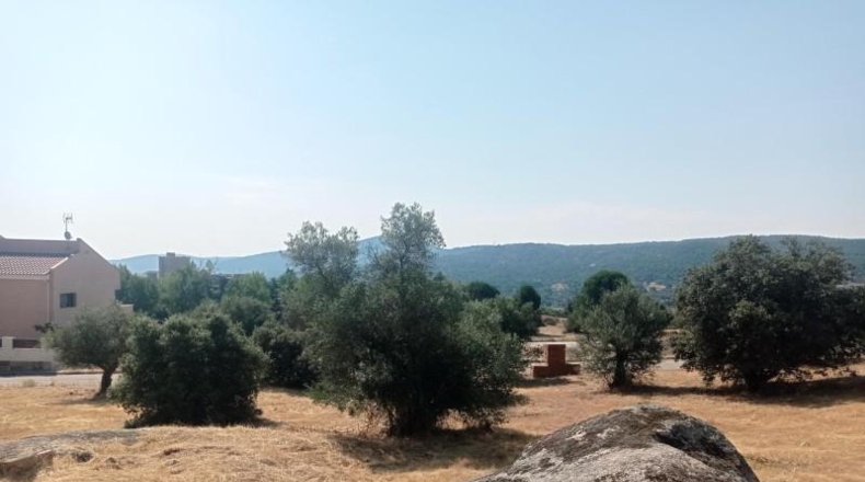 Comunidad de Madrid - San Martín de Valdeiglesias - 3193m2