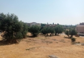 Sòl urbà en venda a la España, San Martín de Valdeiglesias, ref.: TR317969 foto