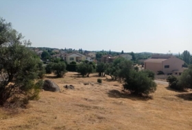 Foto 11