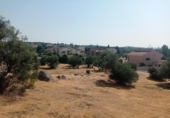 Sòl urbà en venda a la España, San Martín de Valdeiglesias, ref.: TR317969 foto