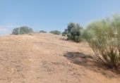 Sòl urbà en venda a la España, San Martín de Valdeiglesias, ref.: TR317969 foto