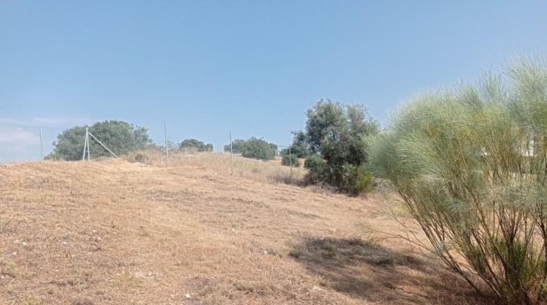Comunidad de Madrid - San Martín de Valdeiglesias - 3193m2