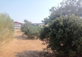 Sòl urbà en venda a la España, San Martín de Valdeiglesias, ref.: TR317969 foto