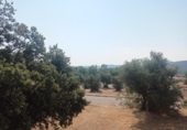 Sòl urbà en venda a la España, San Martín de Valdeiglesias, ref.: TR317969 foto