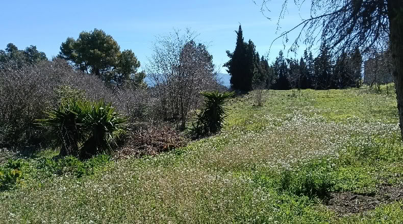 Lerida - Tarrés - 1700m2