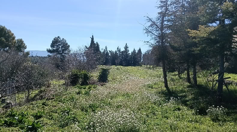 Lerida - Tarrés - 1700m2
