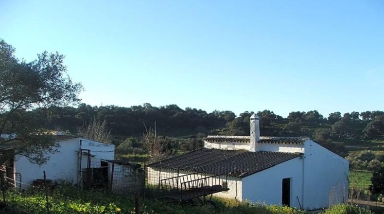 Sevilla - El Pedroso - 112286m2