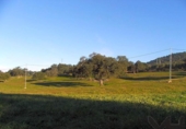 Casa de camp amb terreny en venda a la España, El Pedroso, ref.: TR149181 foto