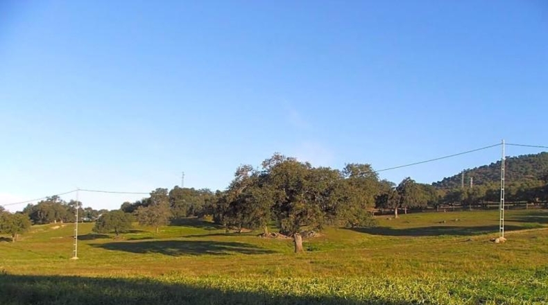Sevilla - El Pedroso - 112286m2