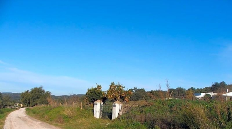 Sevilla - El Pedroso - 112286m2