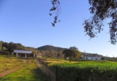 Casa de camp amb terreny en venda a la España, El Pedroso, ref.: TR149181 foto