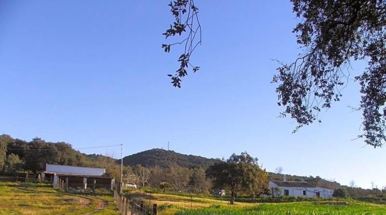 Sevilla - El Pedroso - 112286m2
