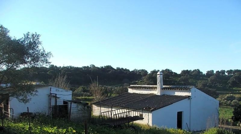 Sevilla - El Pedroso - 112286m2