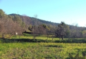 Casa de camp amb terreny en venda a la España, El Pedroso, ref.: TR149181 foto