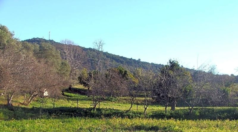 Sevilla - El Pedroso - 112286m2
