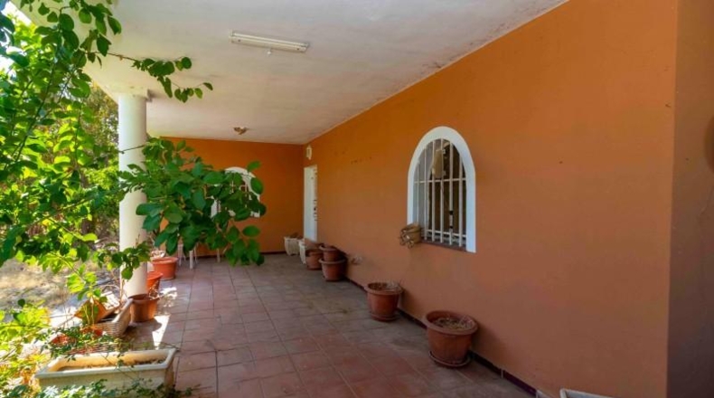 Badajoz - Badajoz - 5000m2