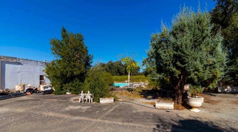 Badajoz - Badajoz - 5000m2