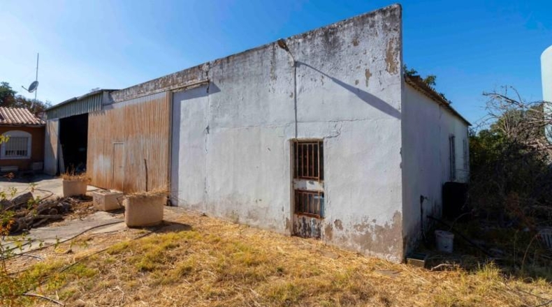 Badajoz - Badajoz - 5000m2