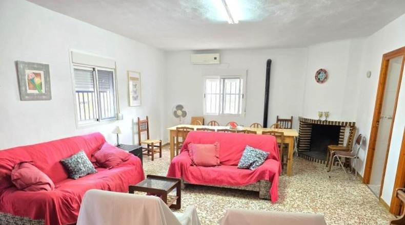 Murcia - Molina de Segura - 10400m2