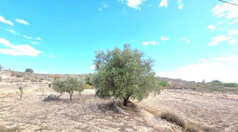 Murcia - Molina de Segura - 10400m2