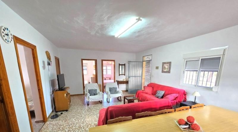 Murcia - Molina de Segura - 10400m2
