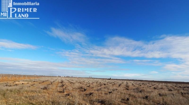 Ciudad Real - Socuéllamos - 104000m2