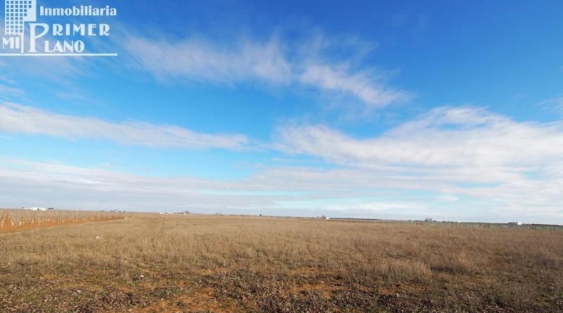 Ciudad Real - Socuéllamos - 104000m2