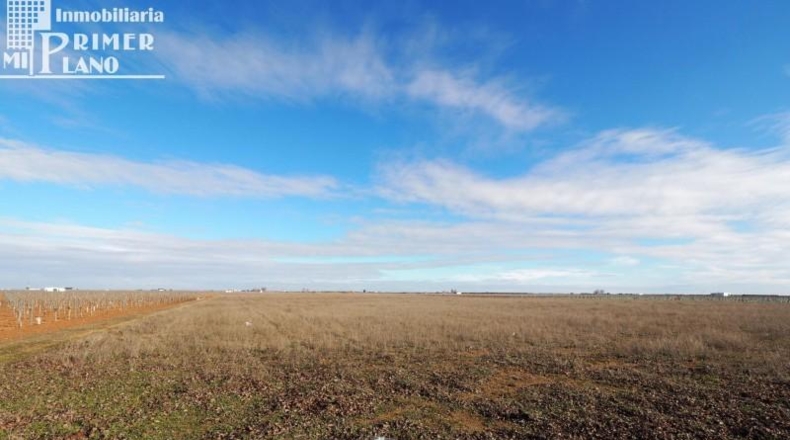 Ciudad Real - Socuéllamos - 104000m2