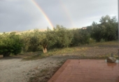 Detached villa with land for sale on España, Casarabonela, ref: TR165117 photo