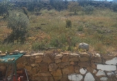 Detached villa with land for sale on España, Casarabonela, ref: TR165117 photo