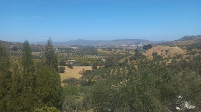 Málaga - Casarabonela - 9000m2