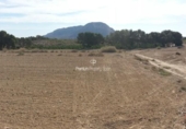 Terreny no urbanitzable en venda a la España, Alacant, ref.: TR178264 foto