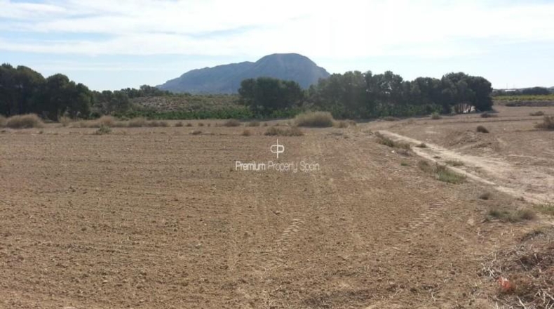 Alicante - Alicante - 33273m2
