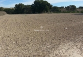 Terreny no urbanitzable en venda a la España, Alacant, ref.: TR178264 foto