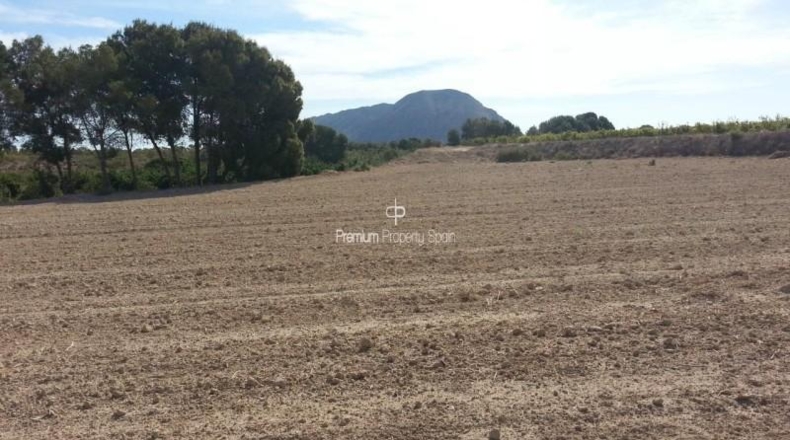 Alicante - Alicante - 33273m2
