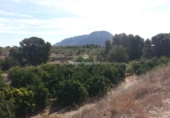 Terreny no urbanitzable en venda a la España, Alacant, ref.: TR178264 foto