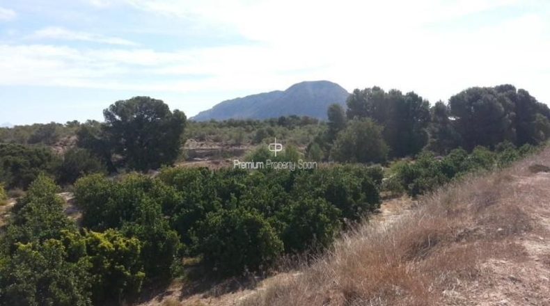 Alicante - Alicante - 33273m2