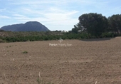 Terreny no urbanitzable en venda a la España, Alacant, ref.: TR178264 foto