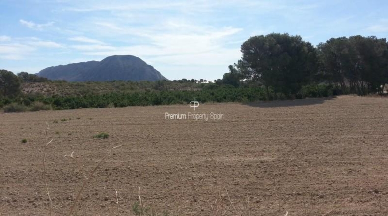 Alicante - Alicante - 33273m2