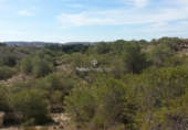 Terreny no urbanitzable en venda a la España, Alacant, ref.: TR178264 foto