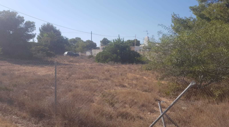 Alicante - Orihuela - 950m2