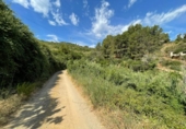 Земля, подлежащая урбанизации на продажу у города Sant Climent de Llobregat Фото