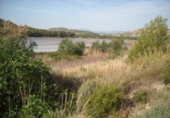 Terreny no urbanitzable en venda a la España, Calasparra, ref.: TR119458 foto