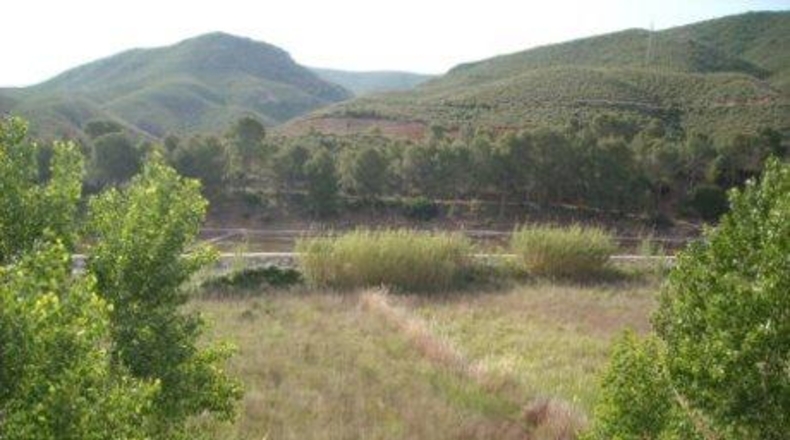 Múrcia - Calasparra - 154482m2