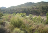 Terreny no urbanitzable en venda a la España, Calasparra, ref.: TR119458 foto
