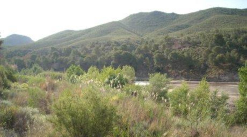 Múrcia - Calasparra - 154482m2