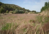 Terreny no urbanitzable en venda a la España, Calasparra, ref.: TR119458 foto