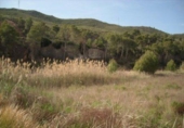 Terreny no urbanitzable en venda a la España, Calasparra, ref.: TR119458 foto