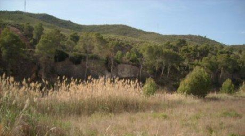 Múrcia - Calasparra - 154482m2